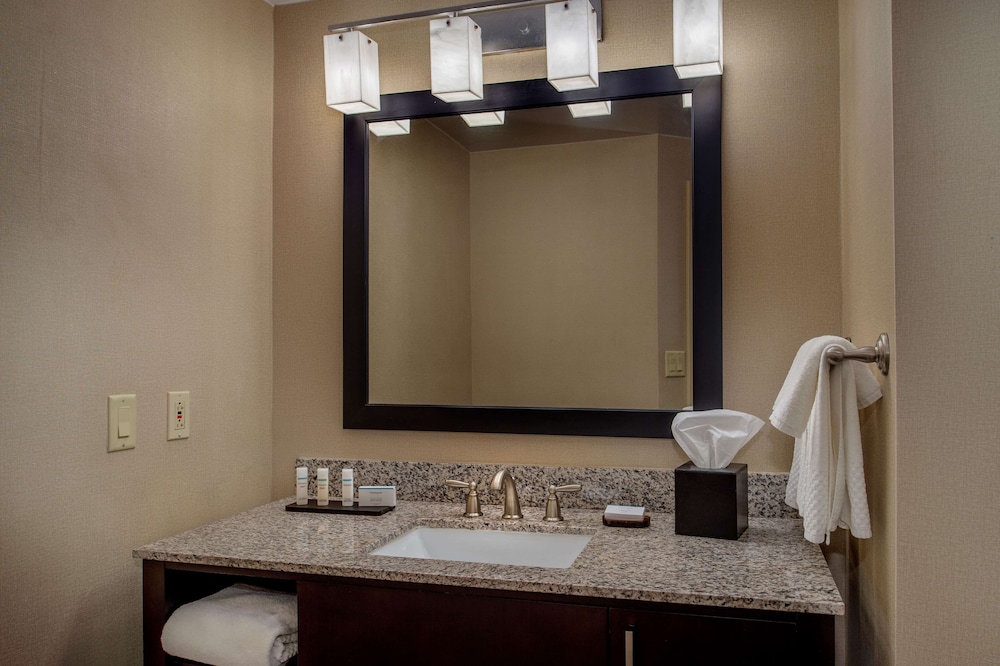 Embassy Suites by Hilton St. Louis Airport - photo 31