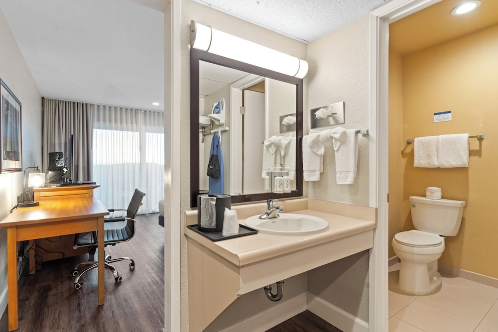 Vagabond Inn Executive San Francisco Airport - photo 28