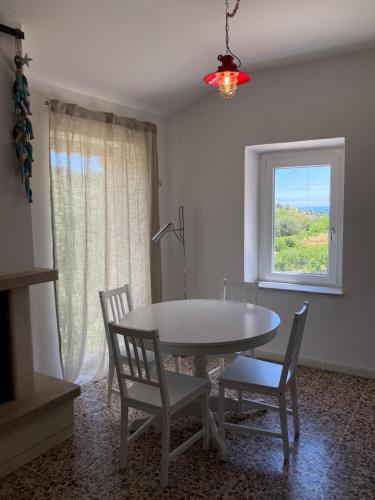 Microfattoria Lenta — Massignano — photo 5