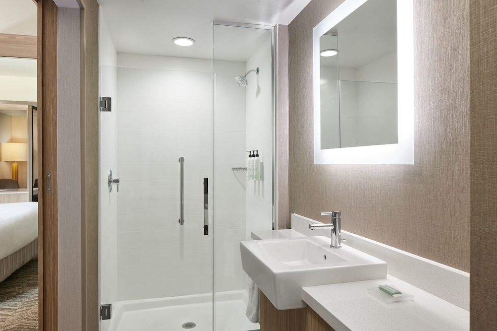SpringHill Suites by Marriott Frederica - photo 12