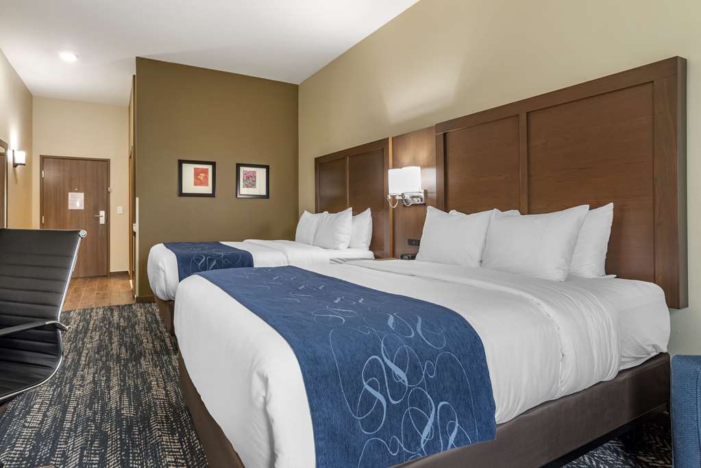 Comfort Inn & Suites Downtown near University - photo 16