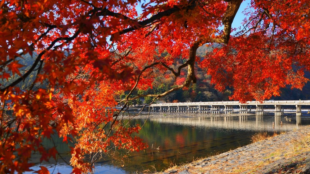 Caphotel Kyoto - last minute hotel in Kyoto