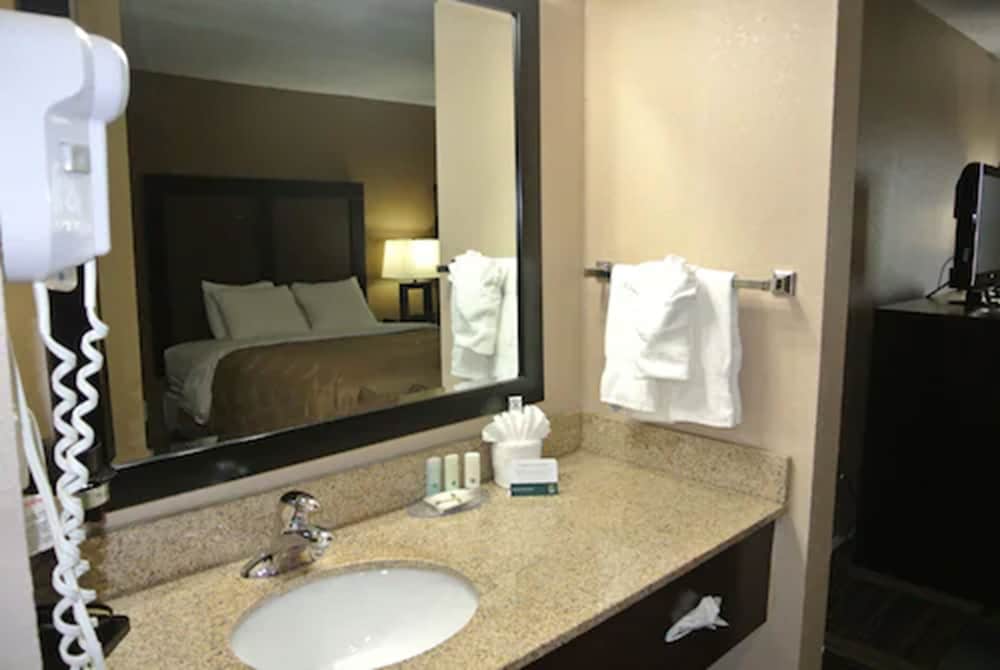 Quality Inn & Suites Arnold St Louis - photo 28