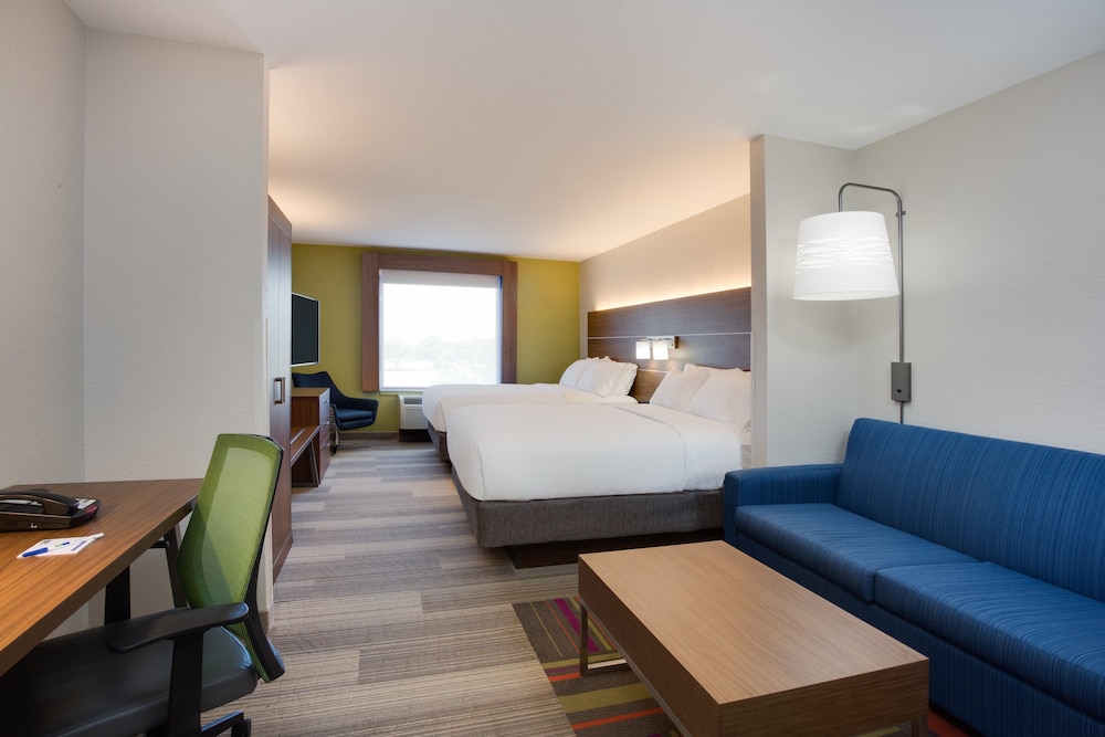 Holiday Inn Express Hotel & Suites Tampa Fairgrounds Casino by IHG - photo 24