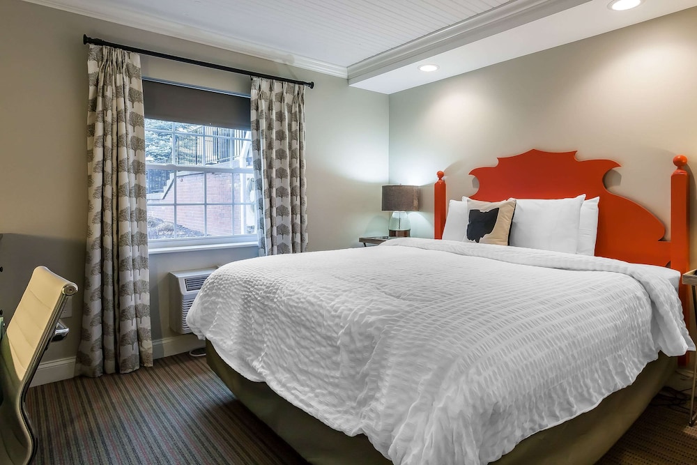 The Aurora Inn - photo 9