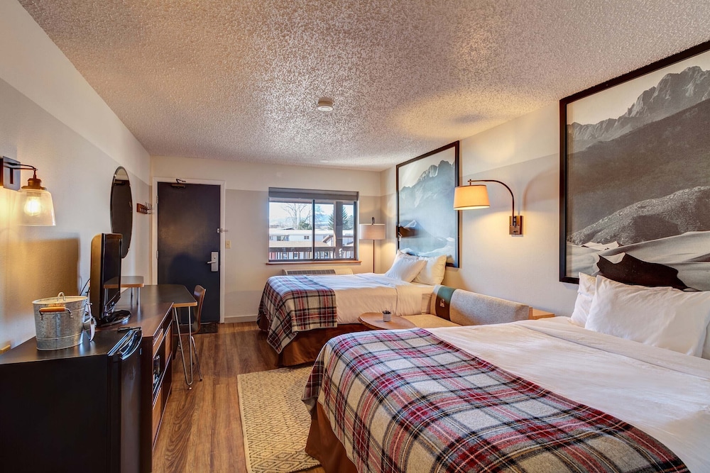 Loyal Duke Lodge - photo 15