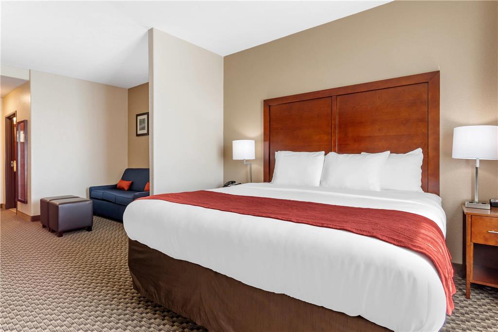 Comfort Inn & Suites Navasota - photo 20