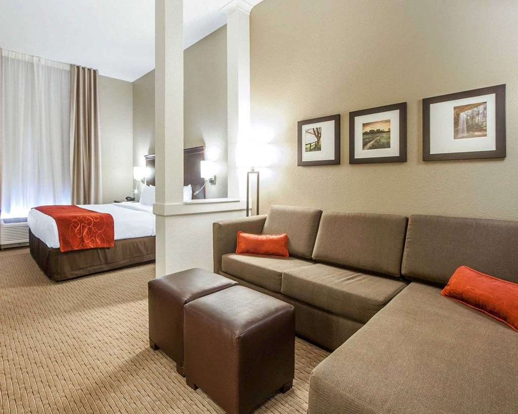 Comfort Suites Marietta Parkersburg - photo 8
