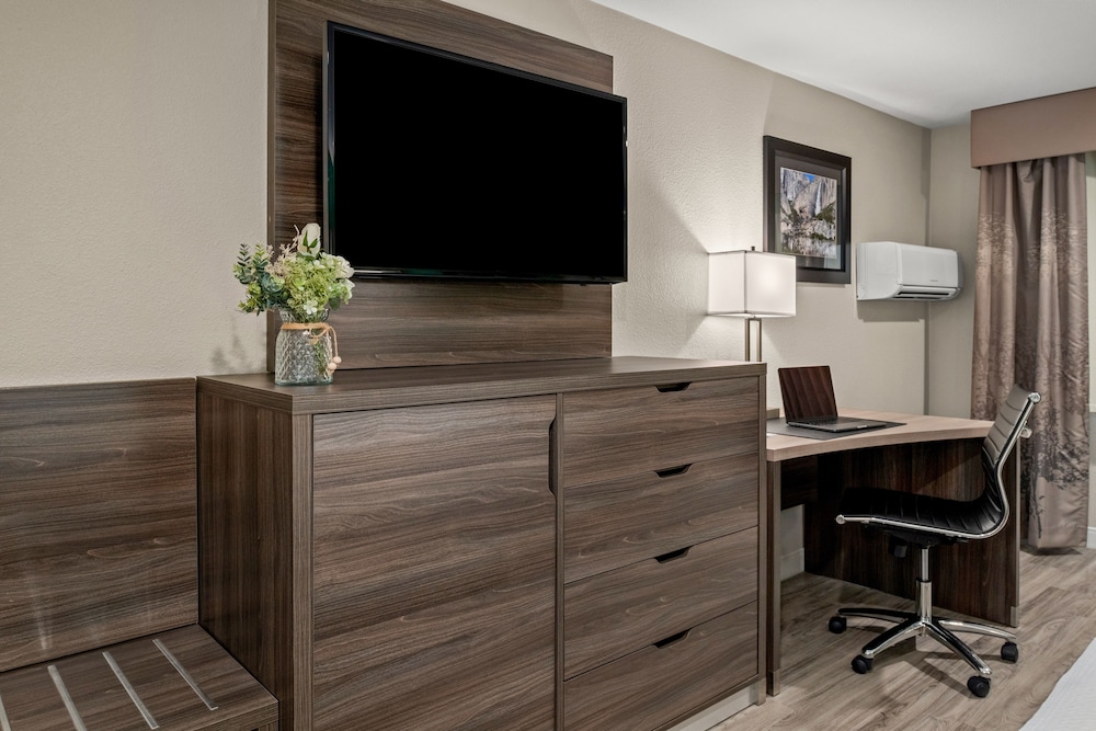 Yosemite Southgate Hotel & Suites - photo 23
