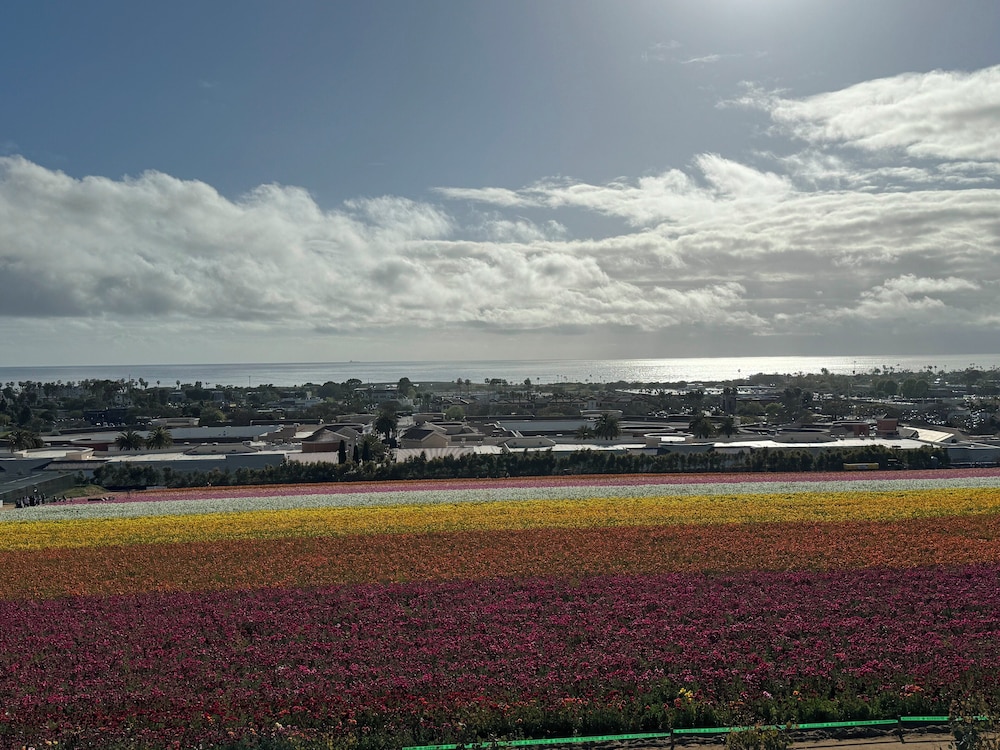 Holiday Inn Express Hotel & Suites Carlsbad Beach by IHG - photo 39