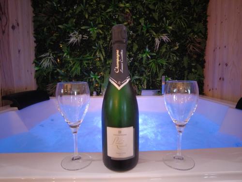 HOTEL DU BERRY Loveroom avec Sauna Hammam Jacuzzi privatifs pet-friendly hotel Reuilly