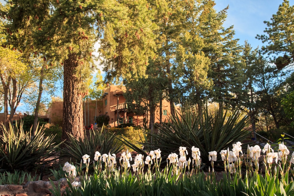 Inn Of The Turquoise Bear - photo 76