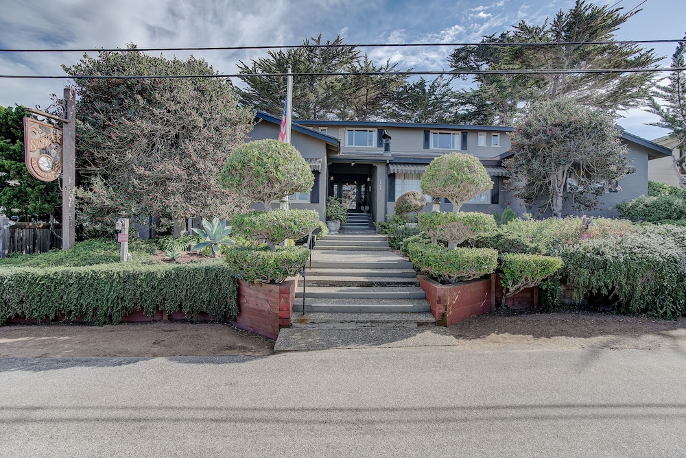 Sandpiper Inn - photo 25