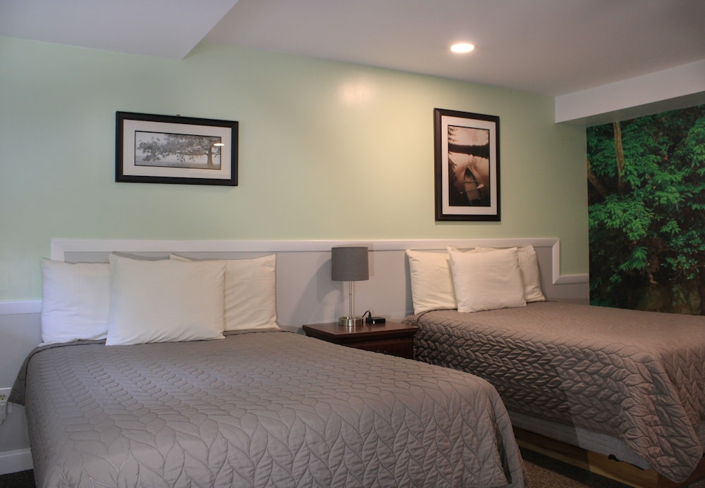 Bucksport Inn - photo 8