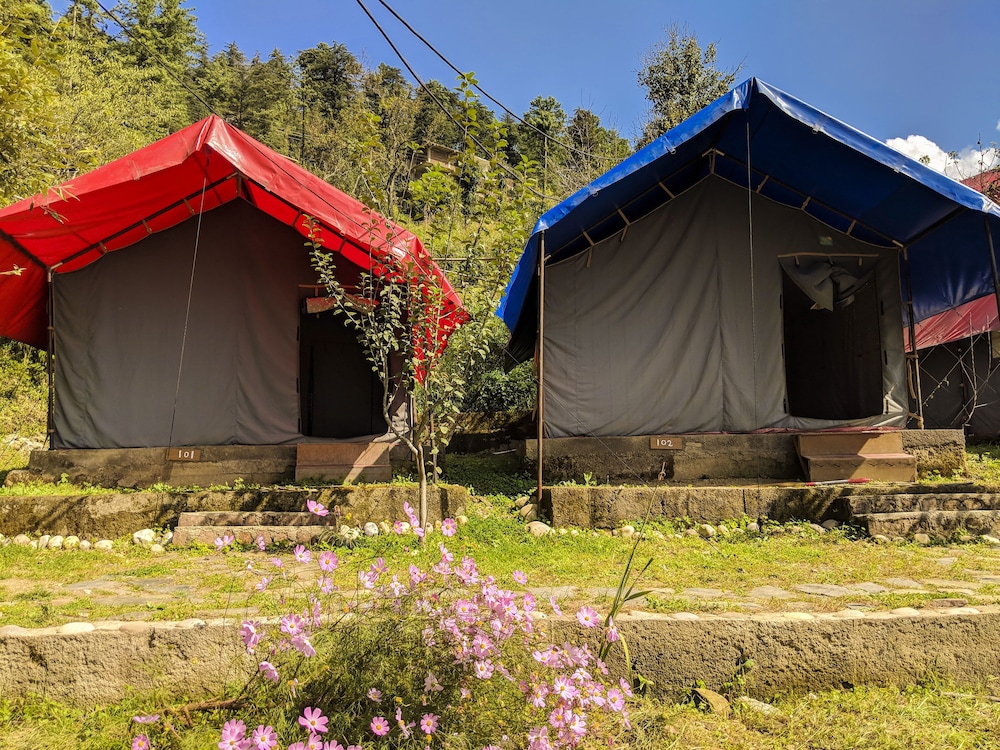 Oyo 22330 Apple Avenue Camps — Shimla