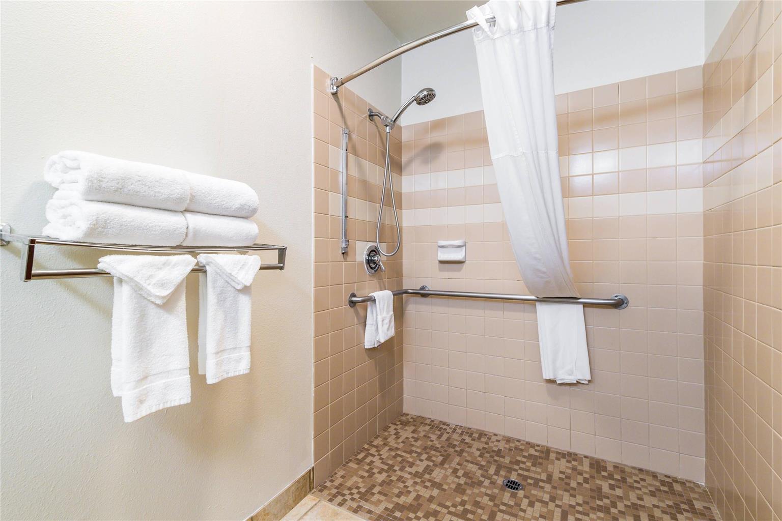 Quality Inn & Suites Lacey Olympia - photo 10