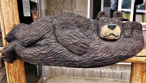 Eagle's Nest Motel - photo 24