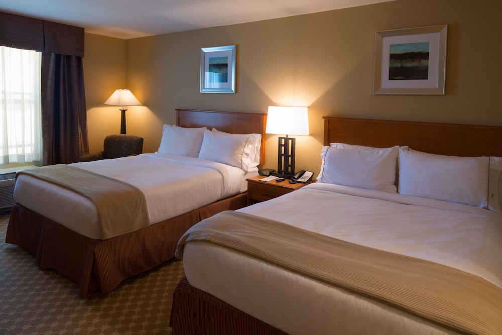 Holiday Inn Express & Suites Chicago West Roselle by IHG - photo 6