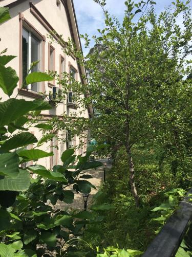 Mount Villa Kvariati