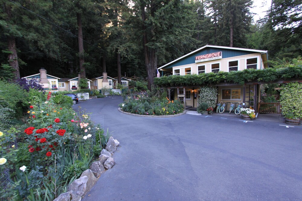 Fern Grove Cottages - photo 76
