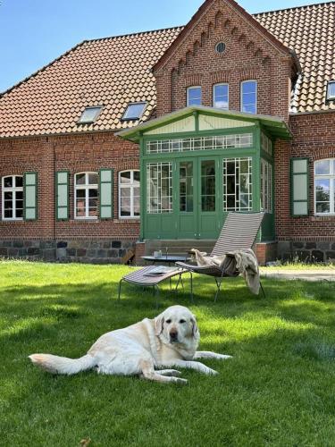 Ferienhaus Forsthaus Stolpe — Stolpe — photo 4