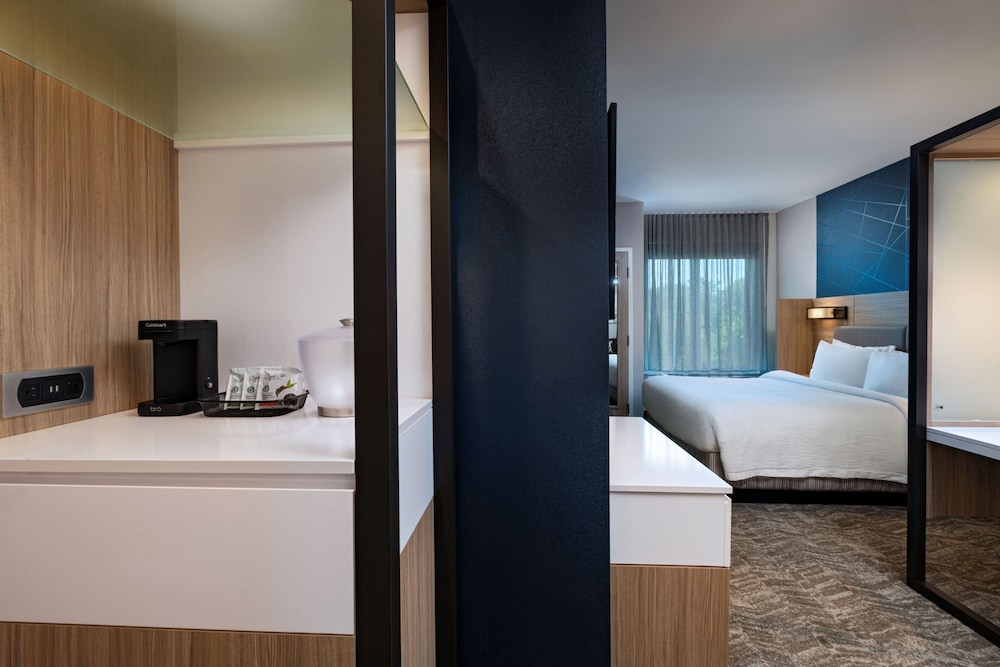 SpringHill Suites by Marriott Austin North - photo 8