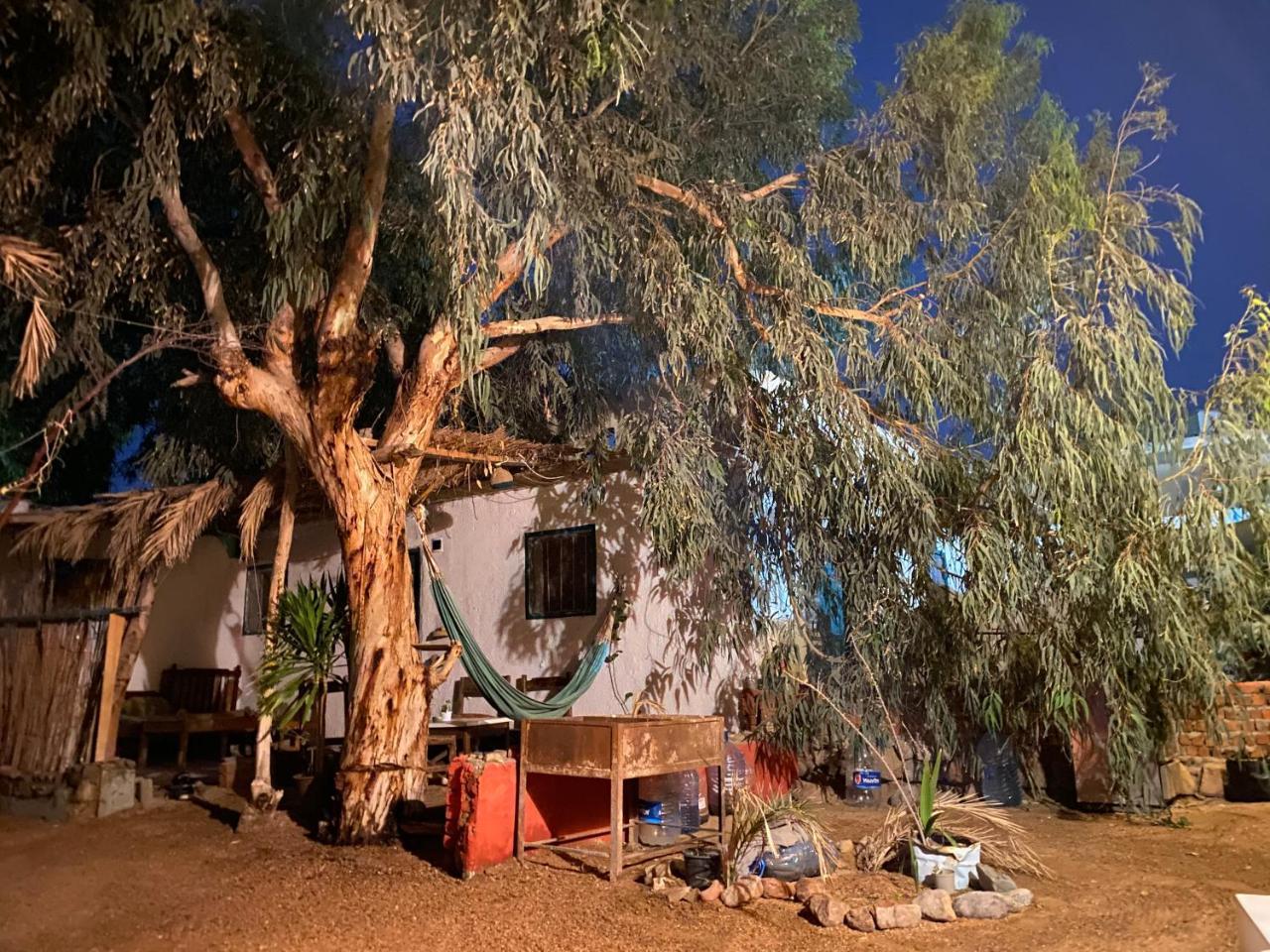 Courtyard Eel Garden in Dahab, Egypt