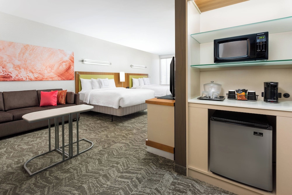 Springhill Suites San Diego Mission Valley - photo 14