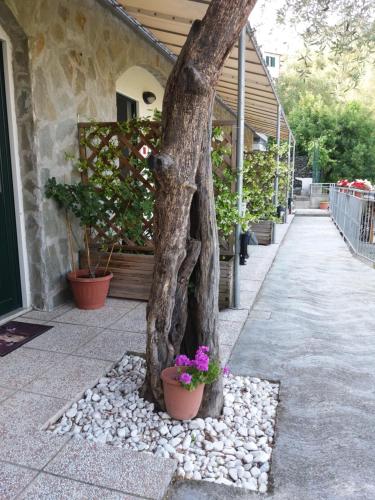 Affittacamere Arabafenice — hotel in Vezzano Ligure