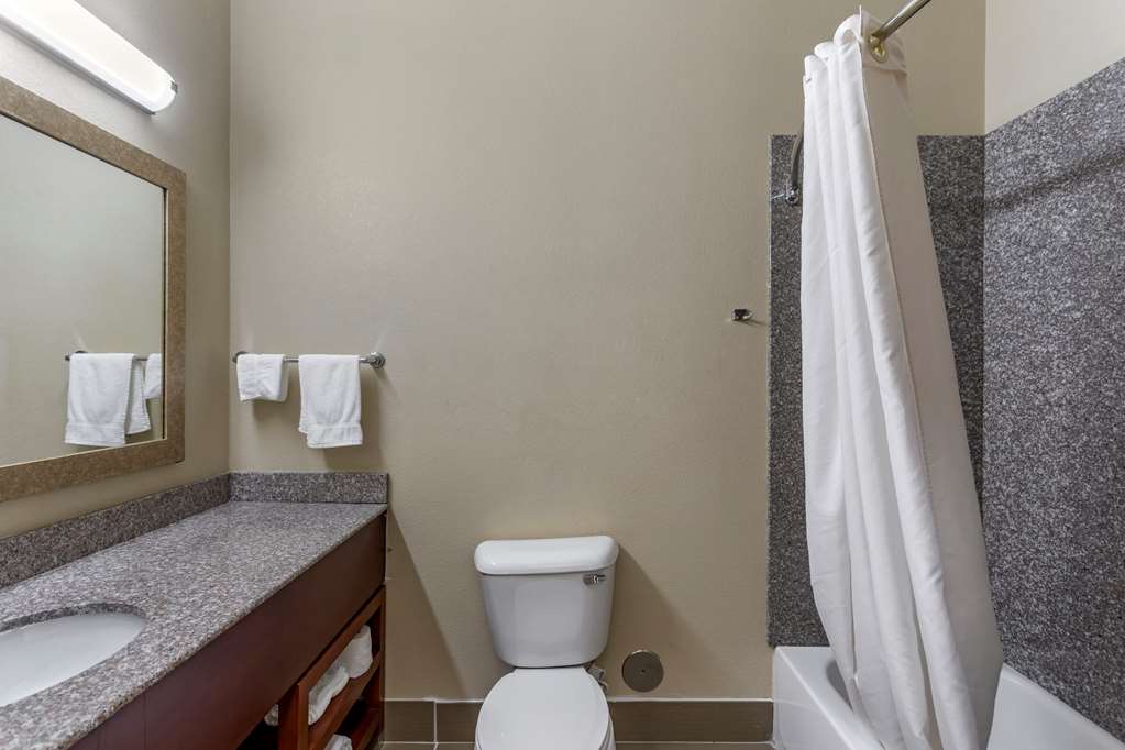 Comfort Inn & Suites Carbondale University Area - photo 17