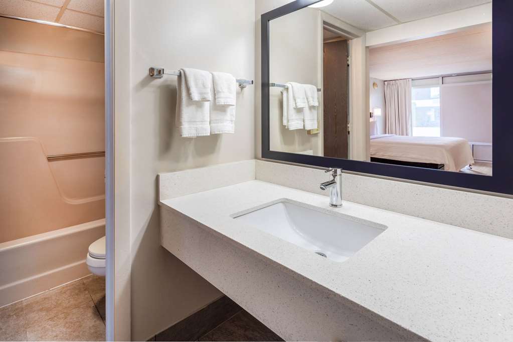 Days Inn Birch Run - photo 31