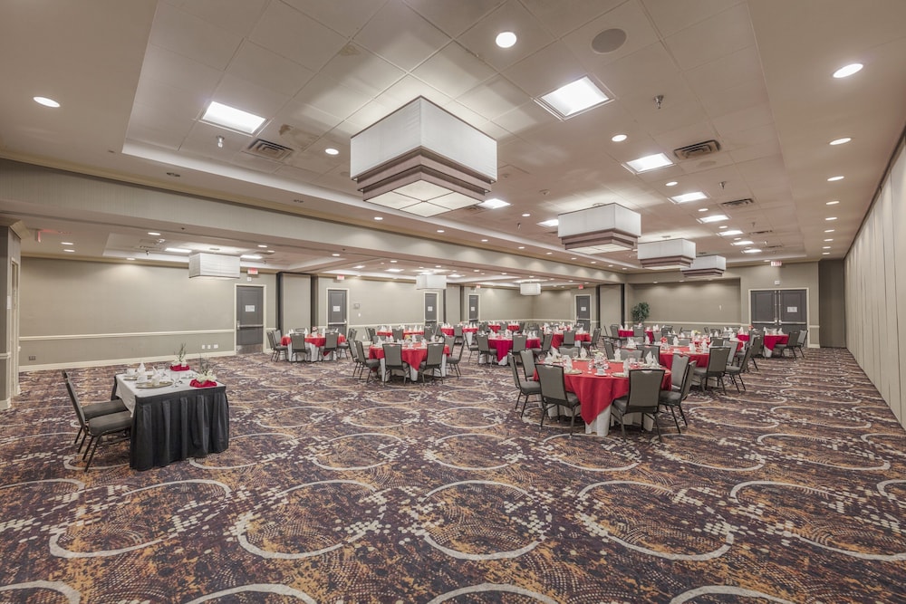 Holiday Inn Austin Midtown by IHG - photo 37