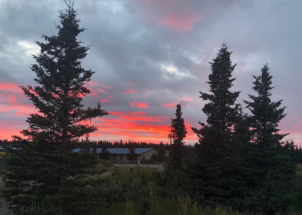 Denali Park Hotel - photo 33