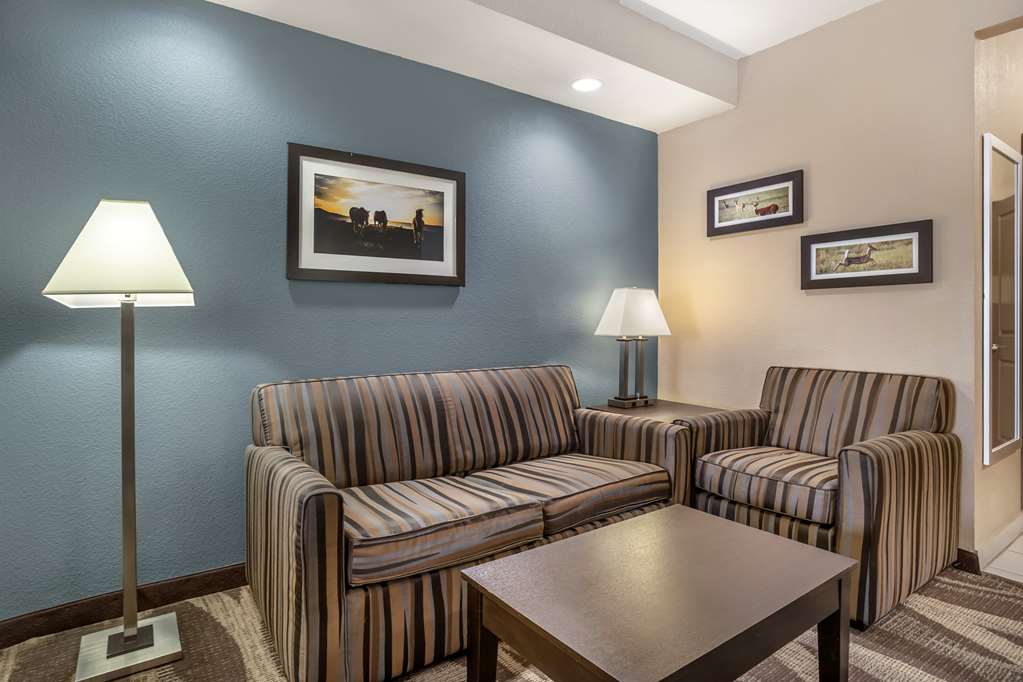 Best Western Plus Lake Jackson Inn & Suites - photo 30