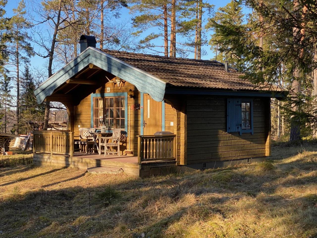 Timrad stuga i kanten av skogen med SPA möjlighet — hotel in Mullsjoe