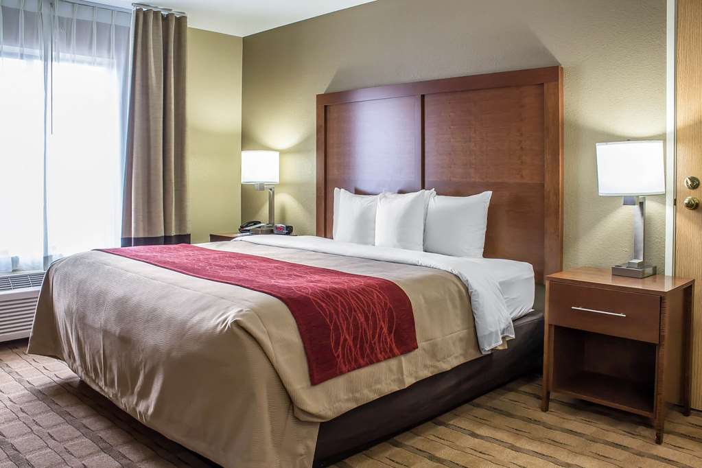Comfort Inn & Suites Cedar Rapids North Collins Road - photo 24