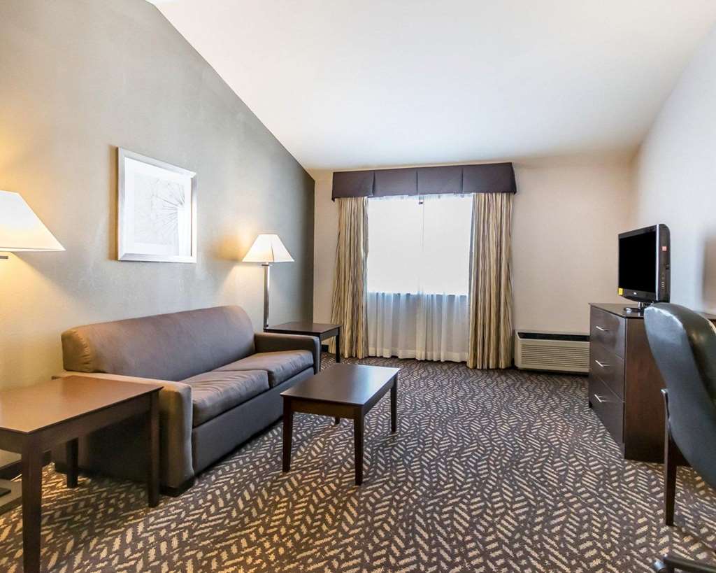 Quality Inn & Suites University Airport - photo 16