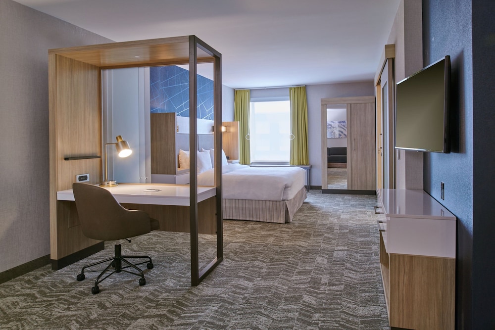 SpringHill Suites by Marriott Detroit Dearborn - photo 4