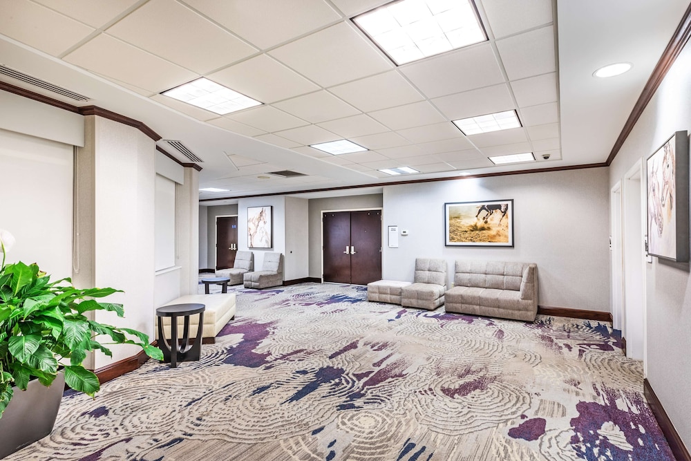 Hilton Garden Inn Aiken - photo 28