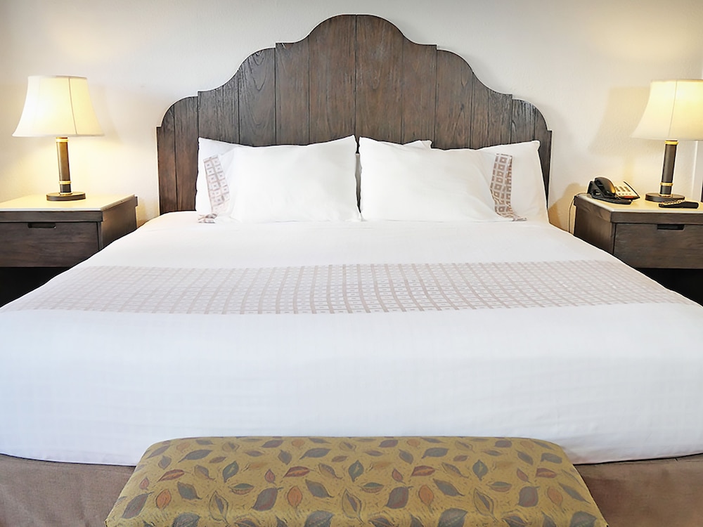 Y O Ranch Hotel - photo 20