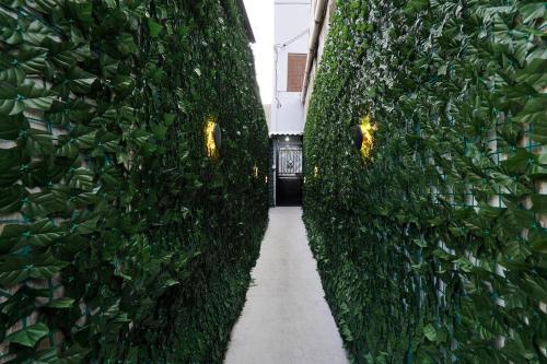 d’Mezzanine in Yogyakarta, Indonesia