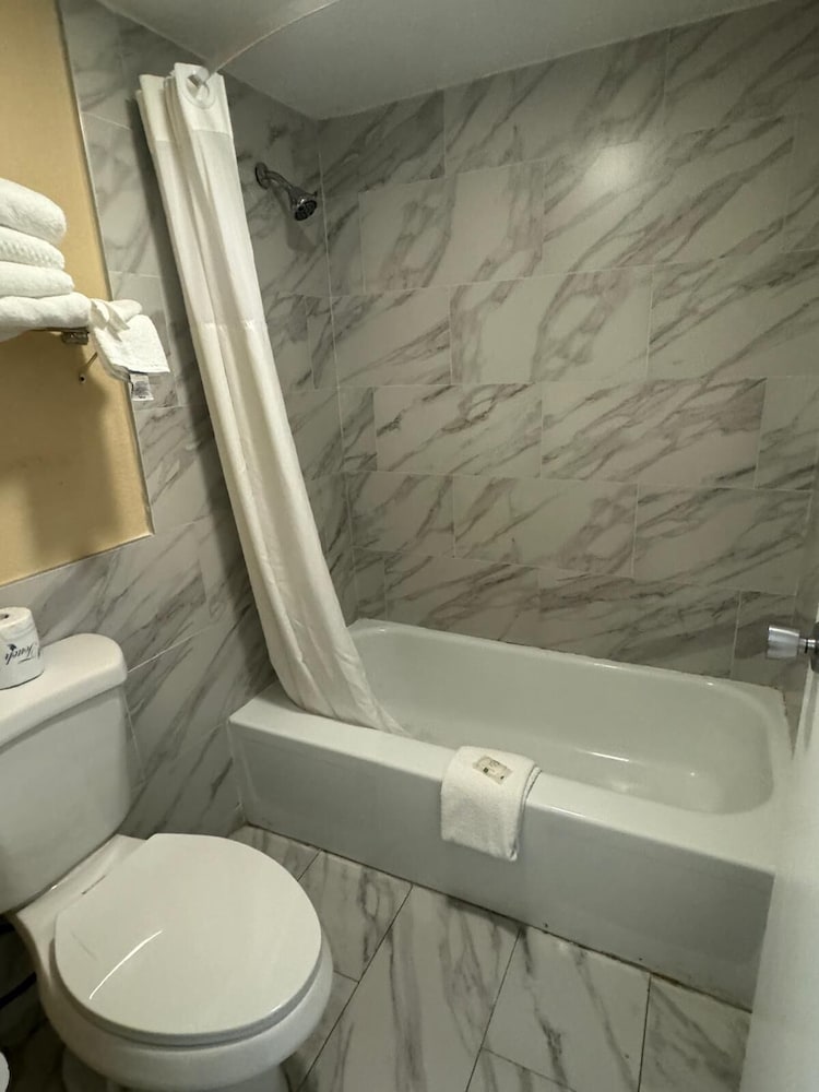 Quality Inn Kennedy Space Center - photo 51