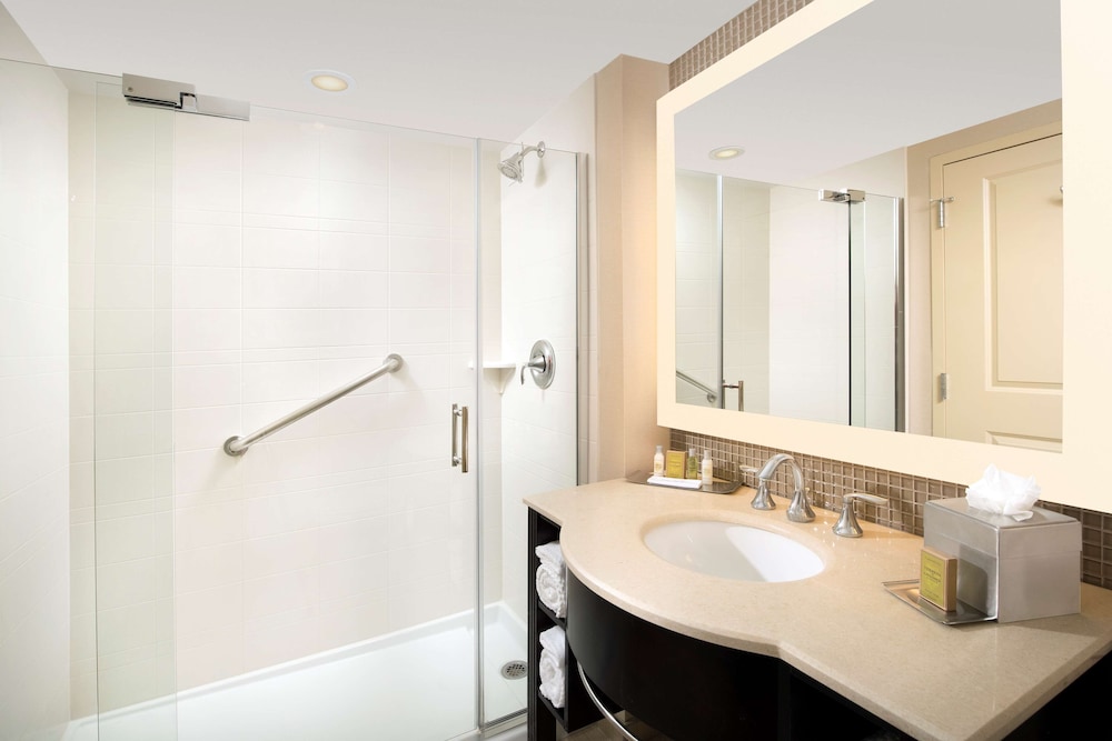 DoubleTree by Hilton Sterling Dulles Airport - photo 31