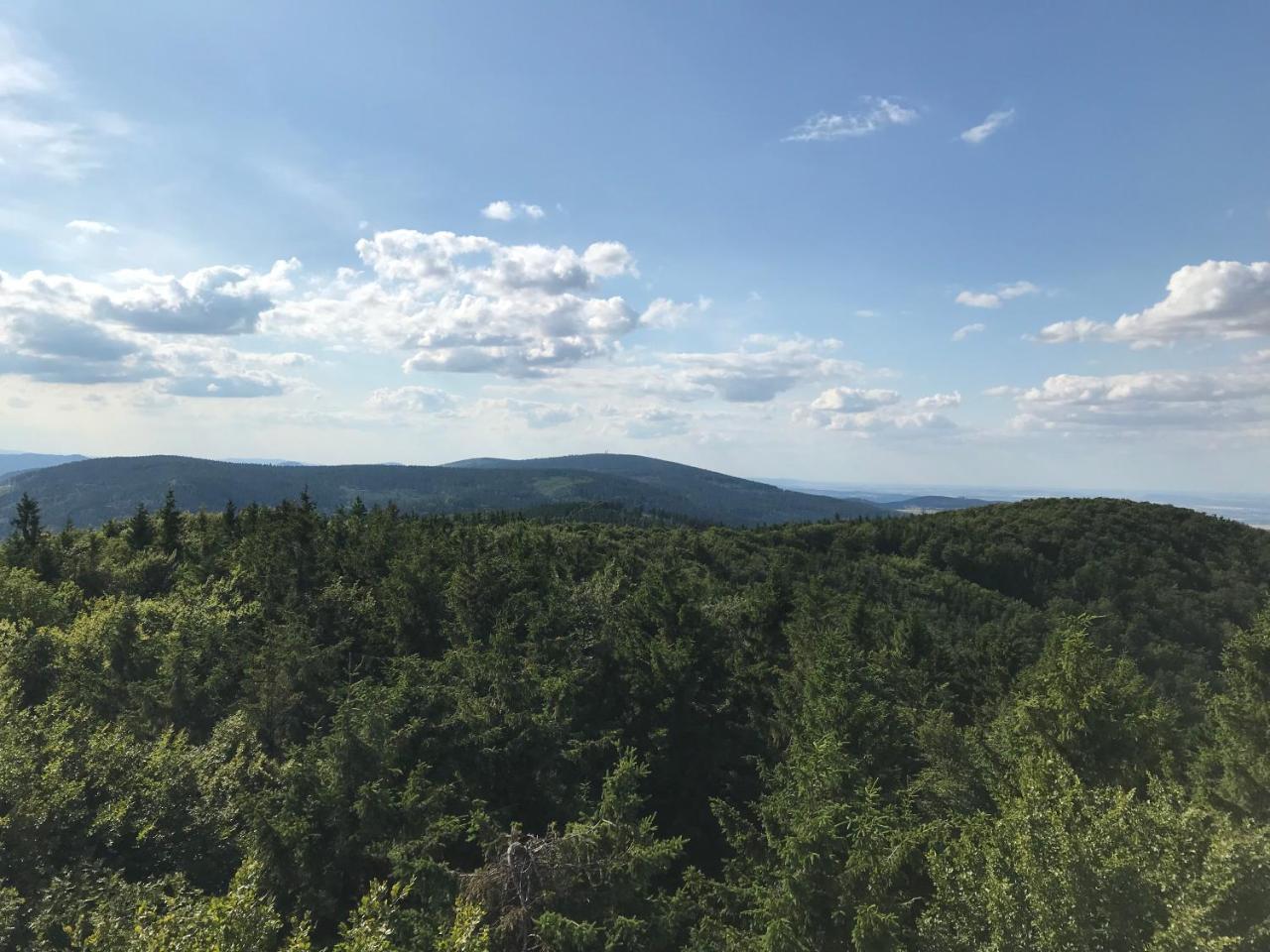 Nad Sowiogorskim Potokiem — Jugow — photo 3