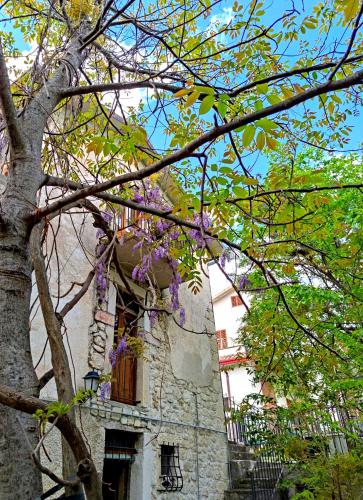 Ai Limiti 67 StoneHouse pet-friendly hotel Palombaro