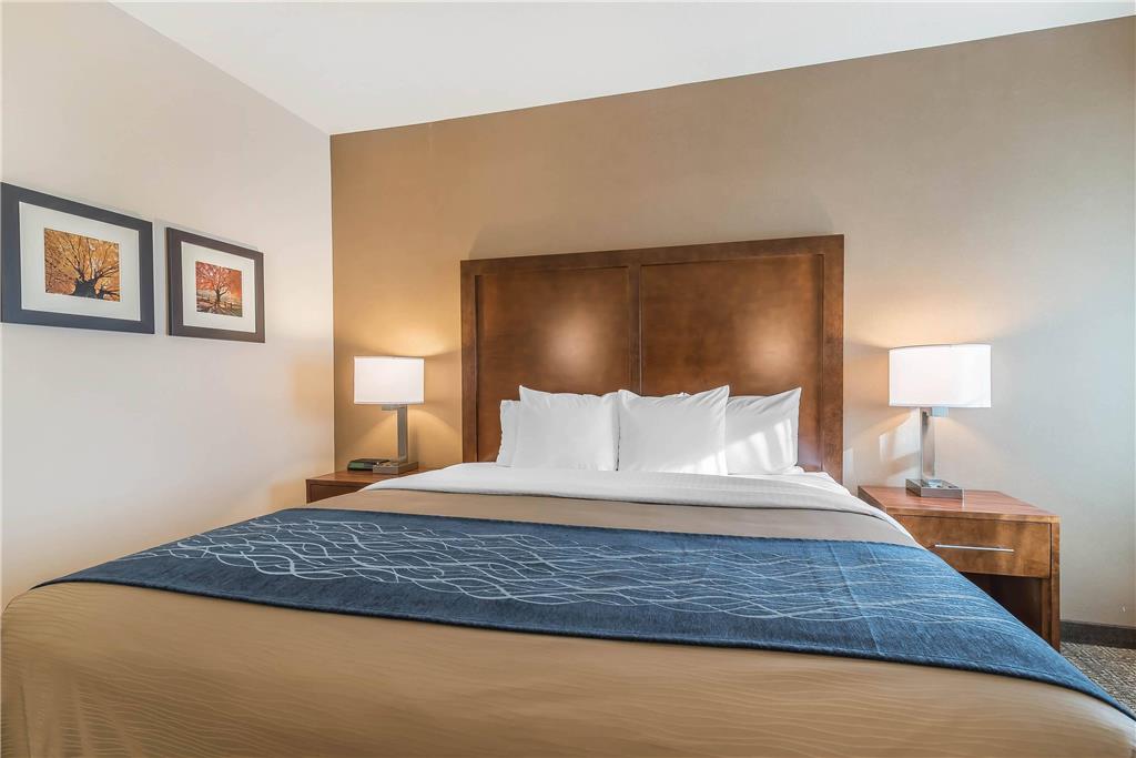 Comfort Inn Concord South End - photo 19