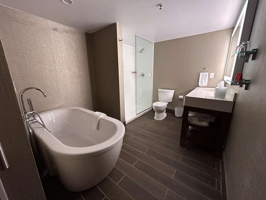 Skyline Hotel Detroit Airport SureStay Collection by BW - photo 17