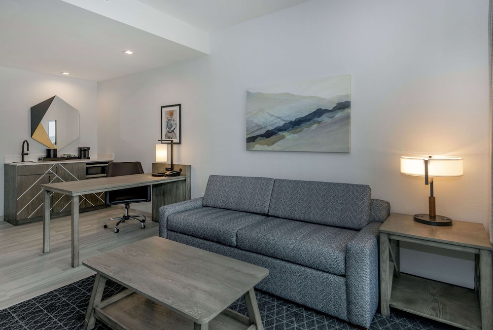 Embassy Suites By Hilton Asheville Downtown - photo 11