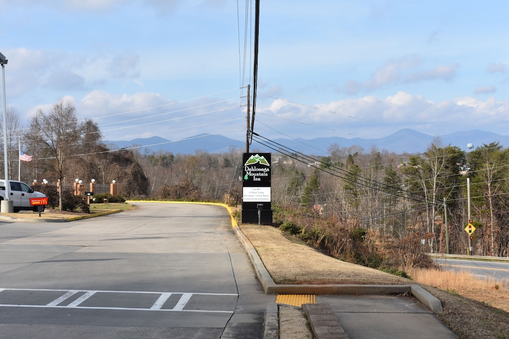 Dahlonega Mountain Inn - photo 19