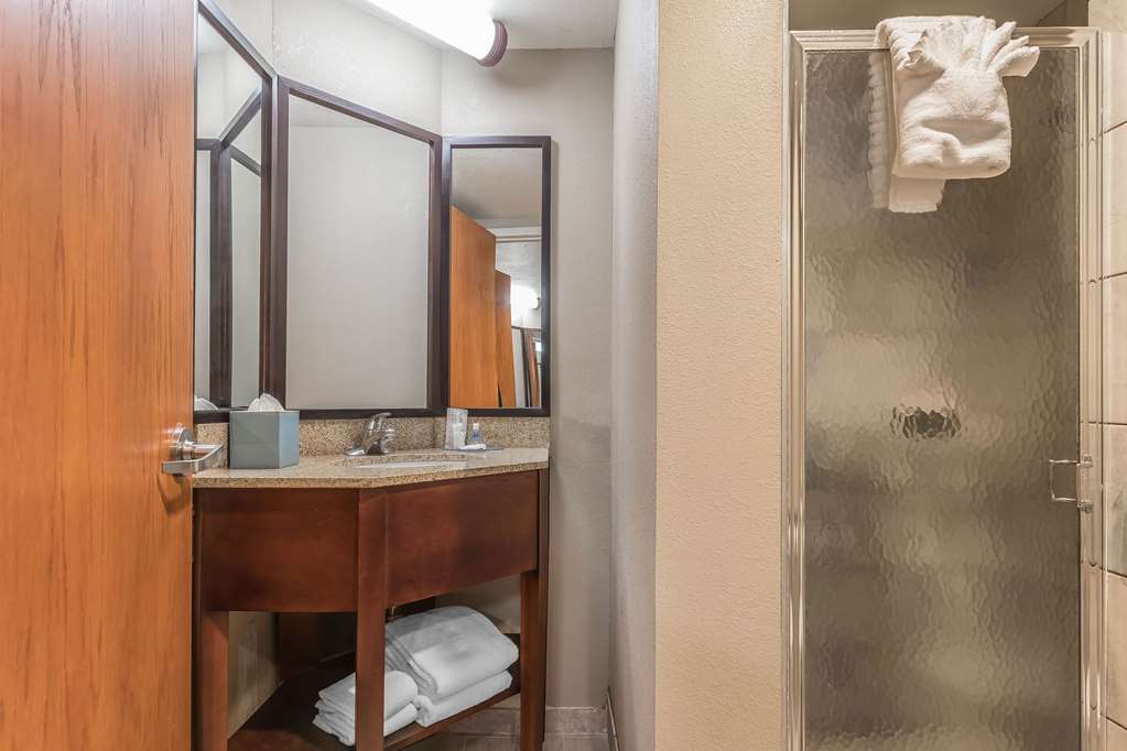 Comfort Inn SW Omaha I 80 - photo 21